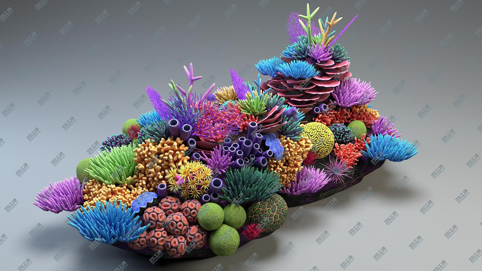 images/goods_img/202104092/Coral Reef 03 3D/5.jpg